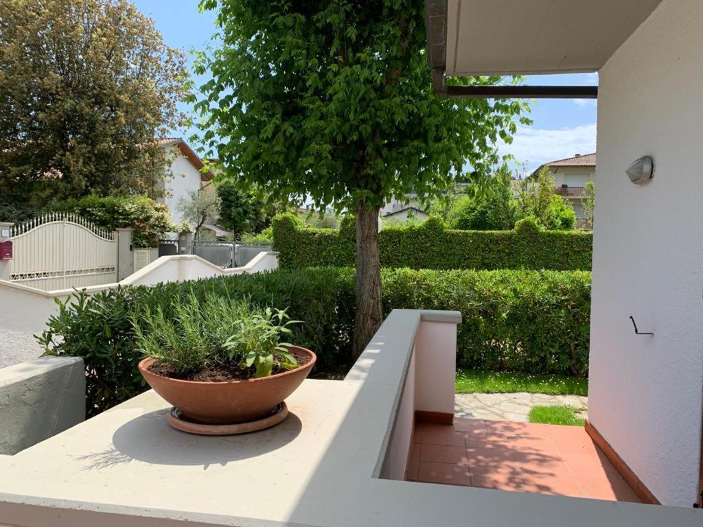 Villetta Cinquale Versilia Ngoại thất bức ảnh